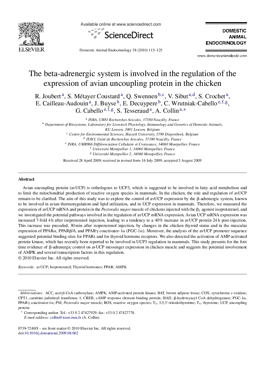 The beta-adrenergic system is involved in the regulation of the expression of avian uncoupling protein in the chicken