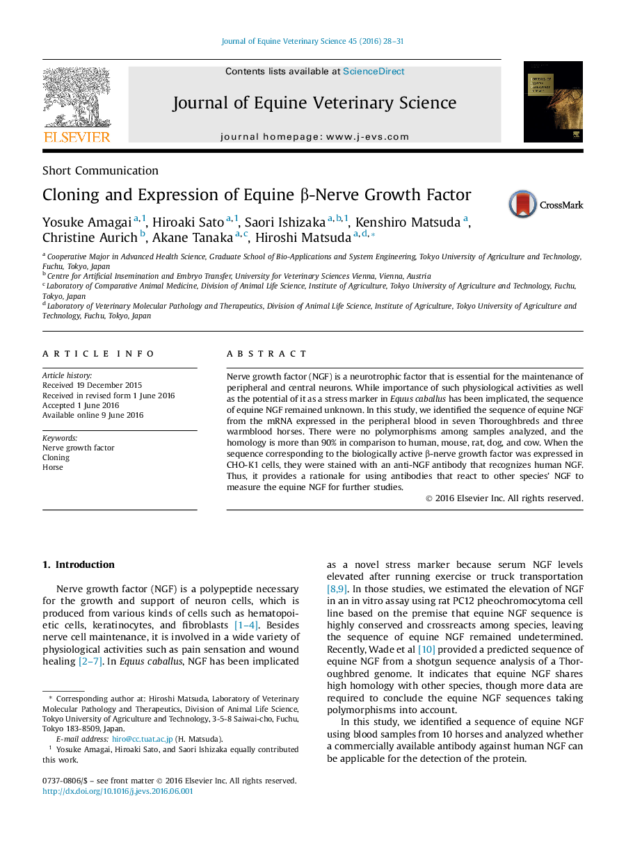 Cloning and Expression of Equine β-Nerve Growth Factor