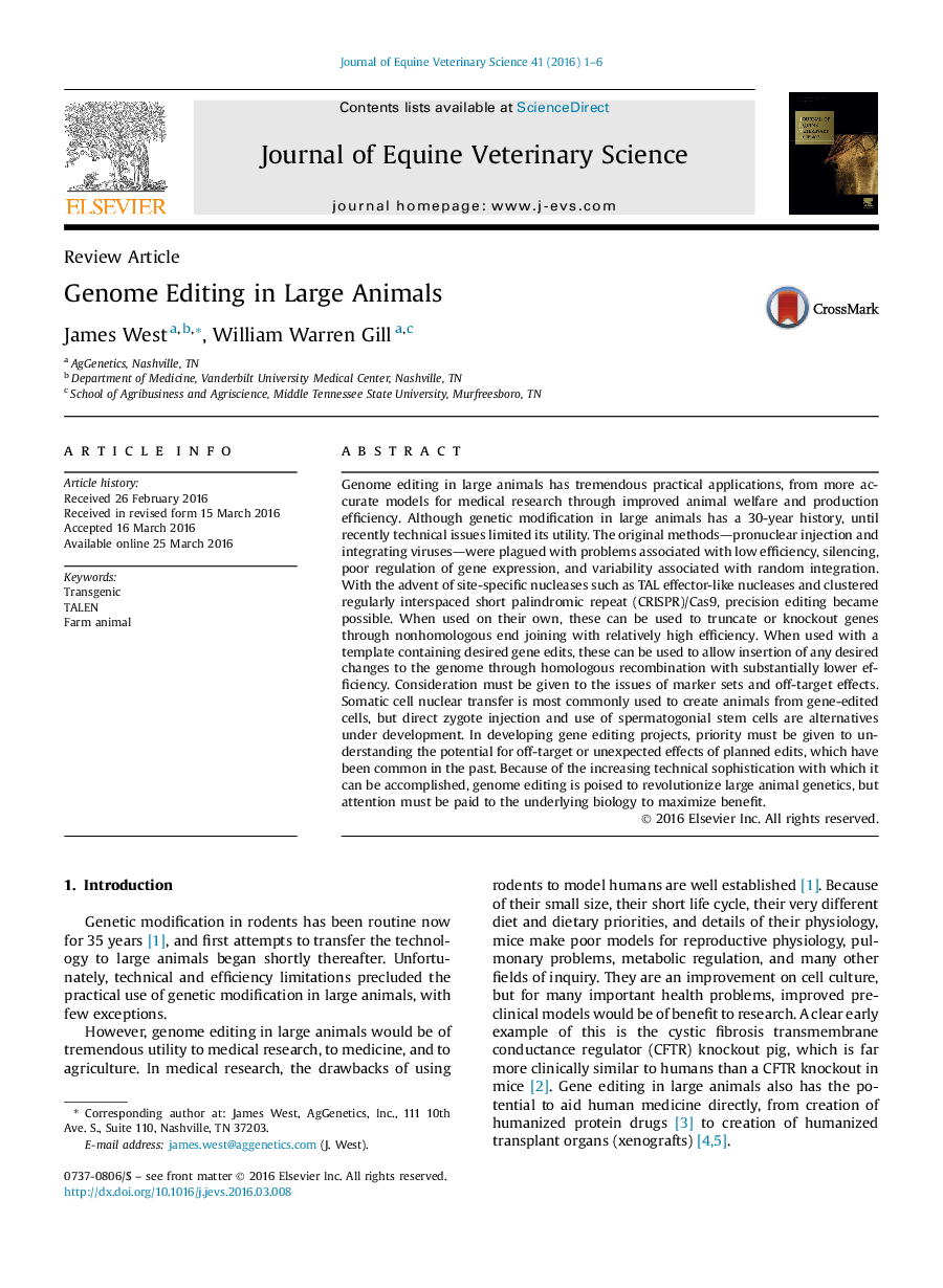 Genome Editing in Large Animals