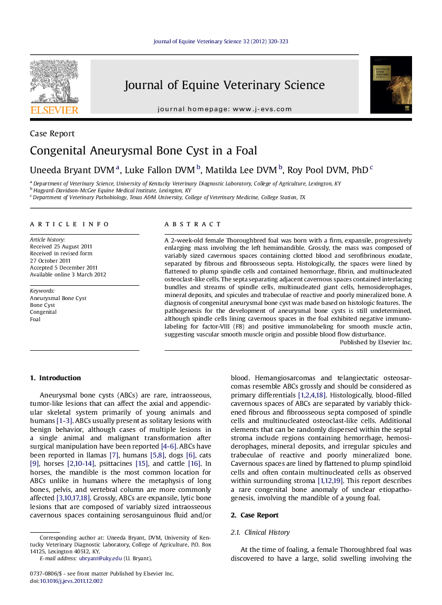 Congenital Aneurysmal Bone Cyst in a Foal