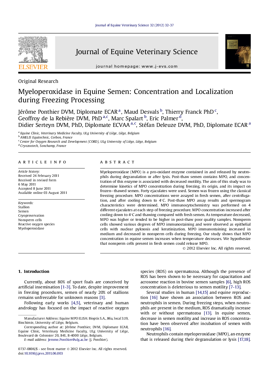 Myeloperoxidase in Equine Semen: Concentration and Localization during Freezing Processing 