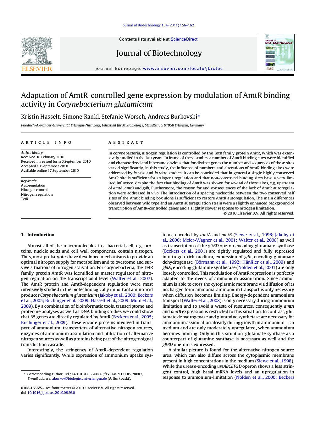 Adaptation of AmtR-controlled gene expression by modulation of AmtR binding activity in Corynebacterium glutamicum