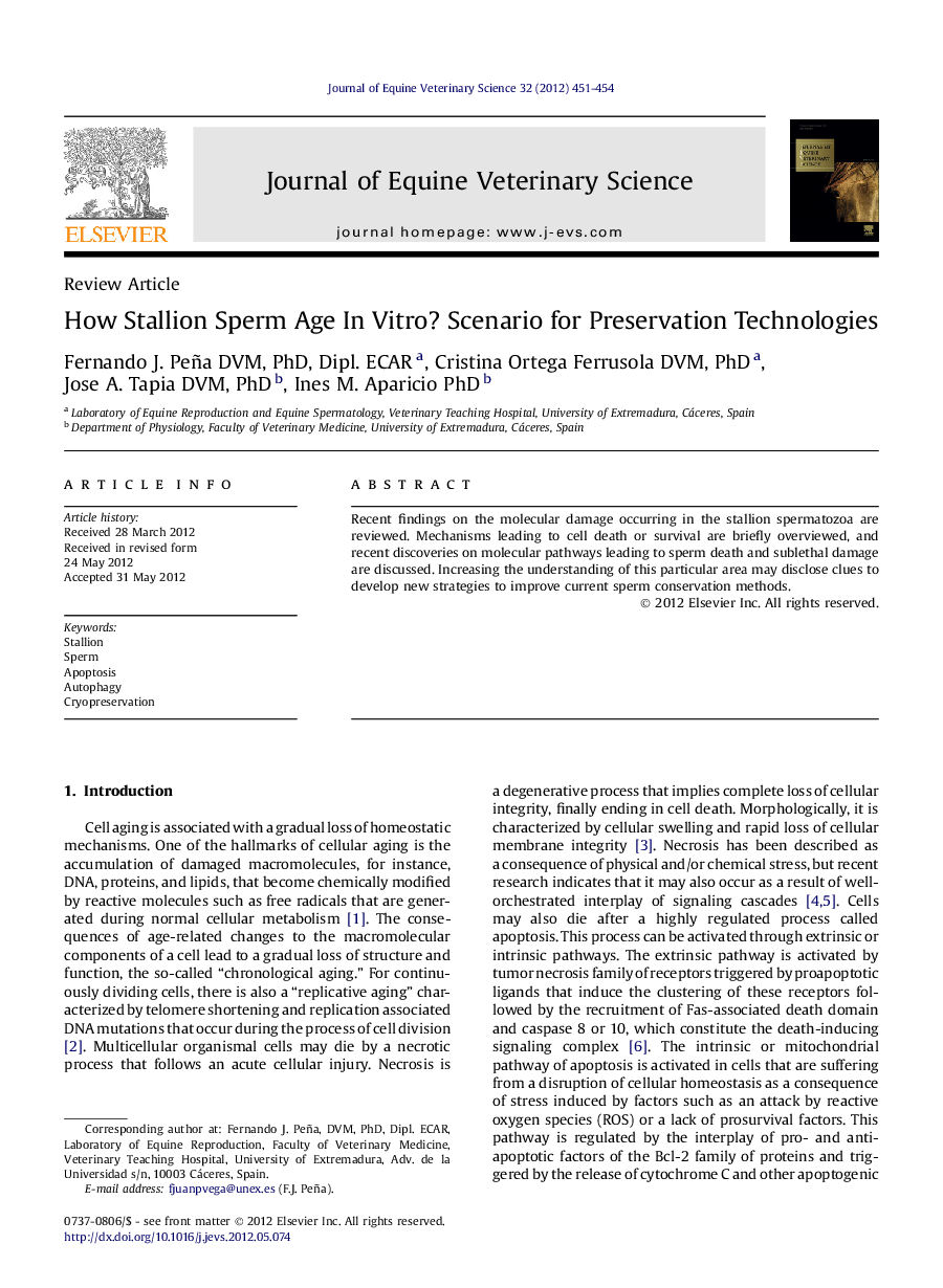 How Stallion Sperm Age In Vitro? Scenario for Preservation Technologies