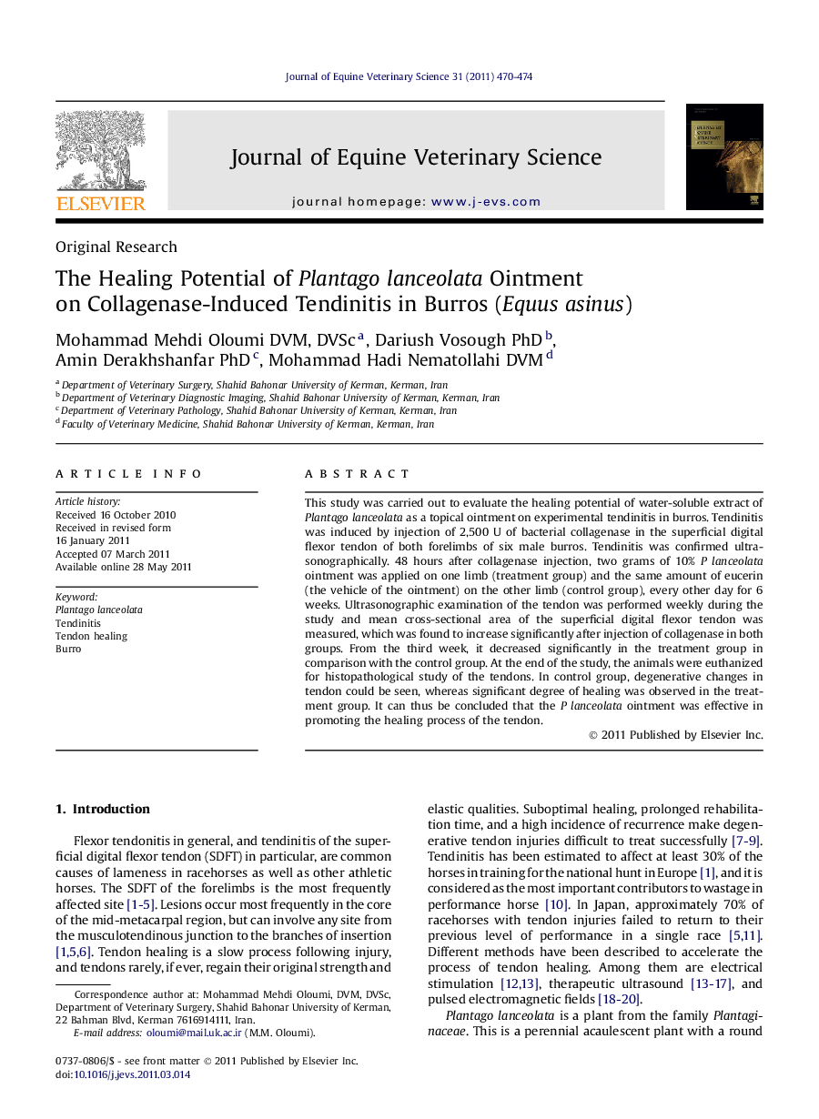 The Healing Potential of Plantago lanceolata Ointment on Collagenase-Induced Tendinitis in Burros (Equus asinus)