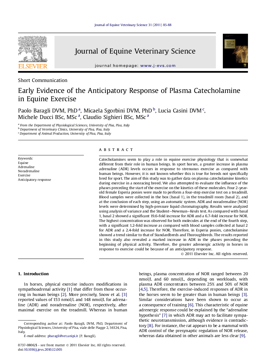 Early Evidence of the Anticipatory Response of Plasma Catecholamine in Equine Exercise