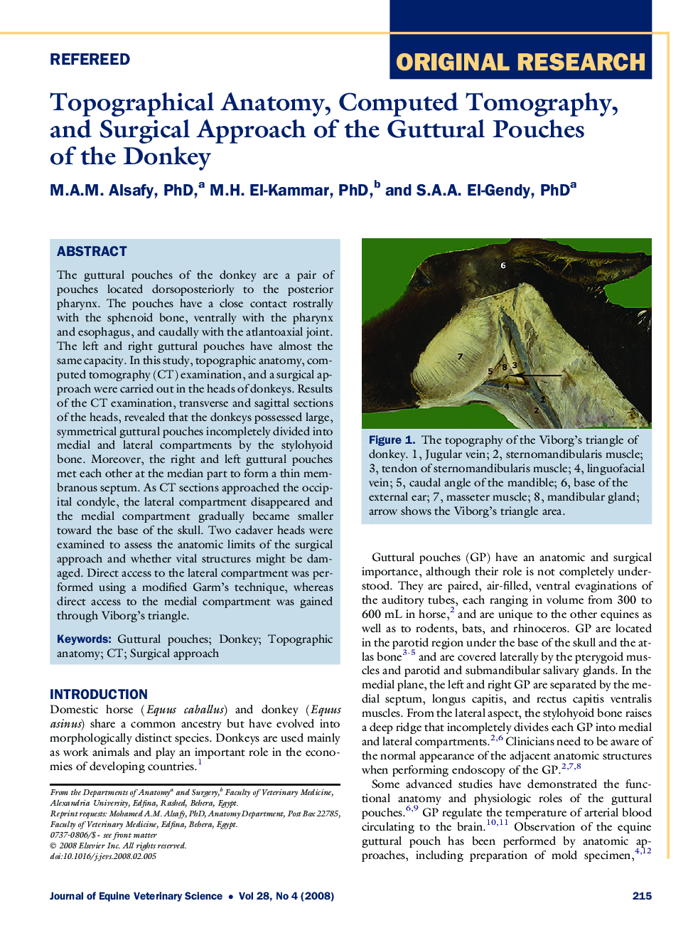 Topographical Anatomy, Computed Tomography, and Surgical Approach of the Guttural Pouches of the Donkey 