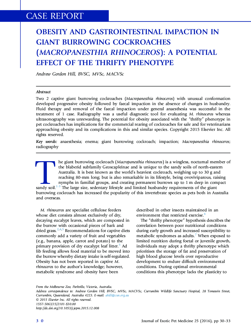 Obesity and Gastrointestinal Impaction in Giant Burrowing Cockroaches (Macropanesthia rhinoceros): A Potential Effect of the Thrifty Phenotype