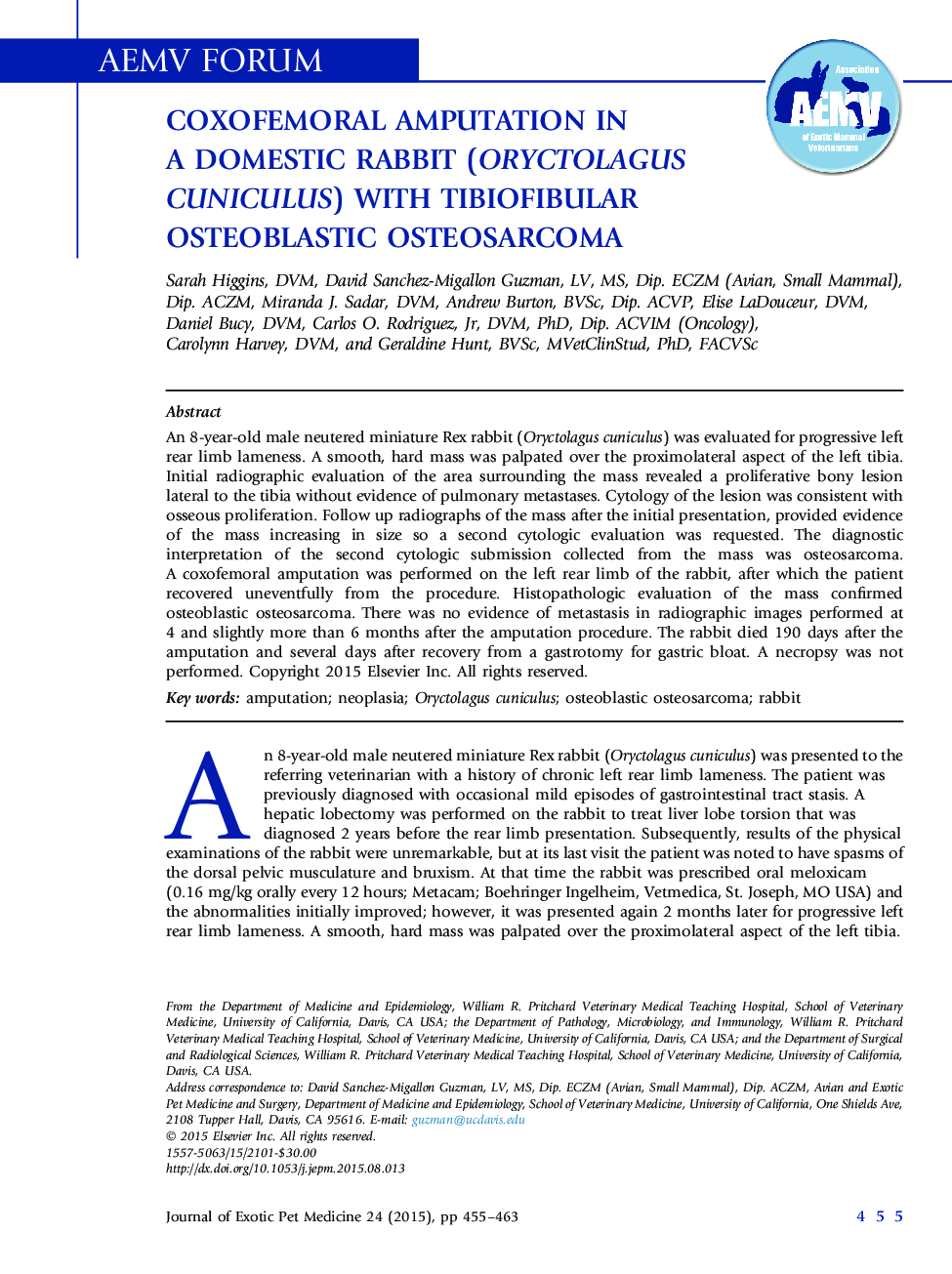 Coxofemoral Amputation in a Domestic Rabbit (Oryctolagus Cuniculus) With Tibiofibular Osteoblastic Osteosarcoma