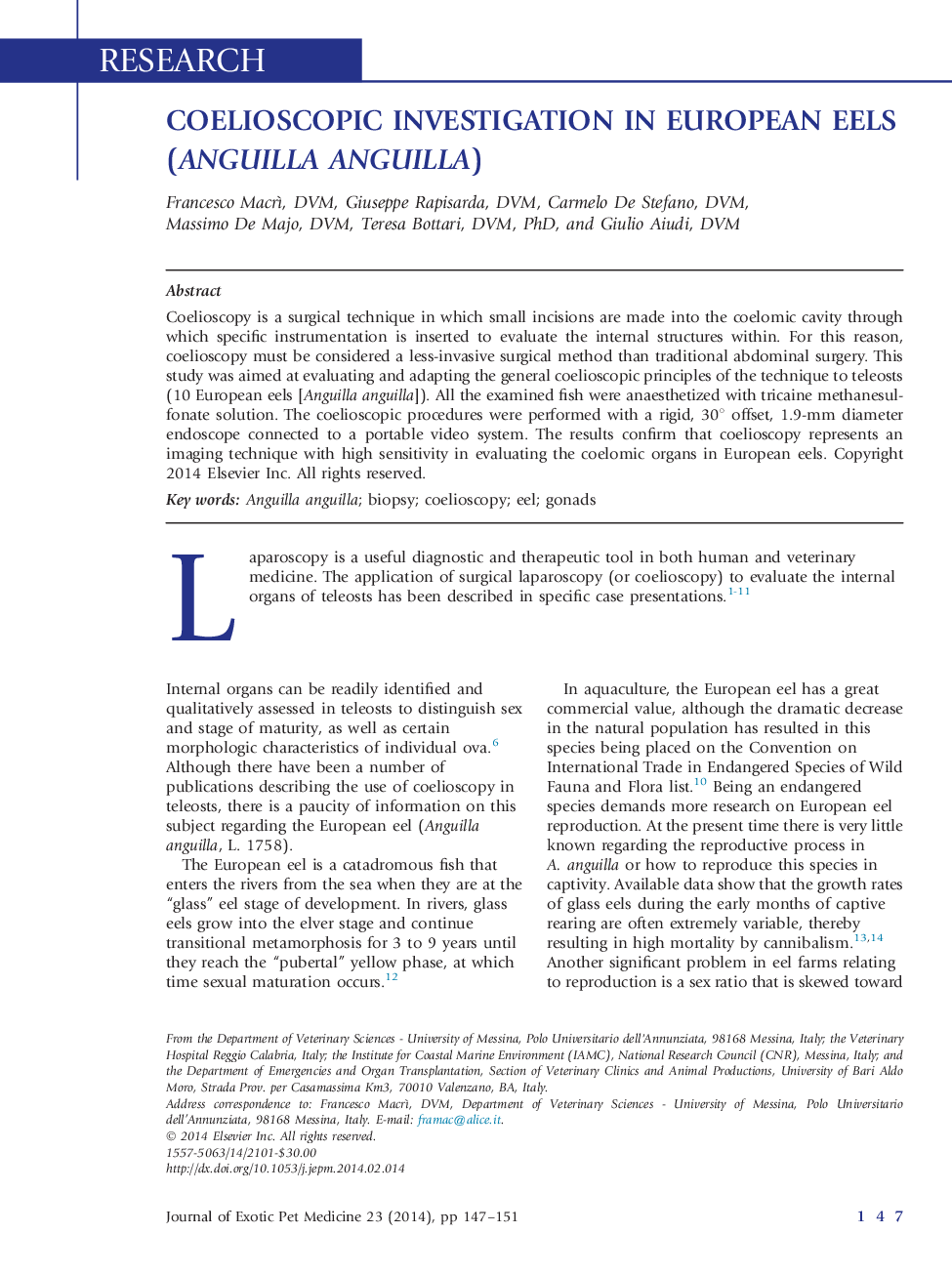 Coelioscopic Investigation in European Eels (Anguilla anguilla)