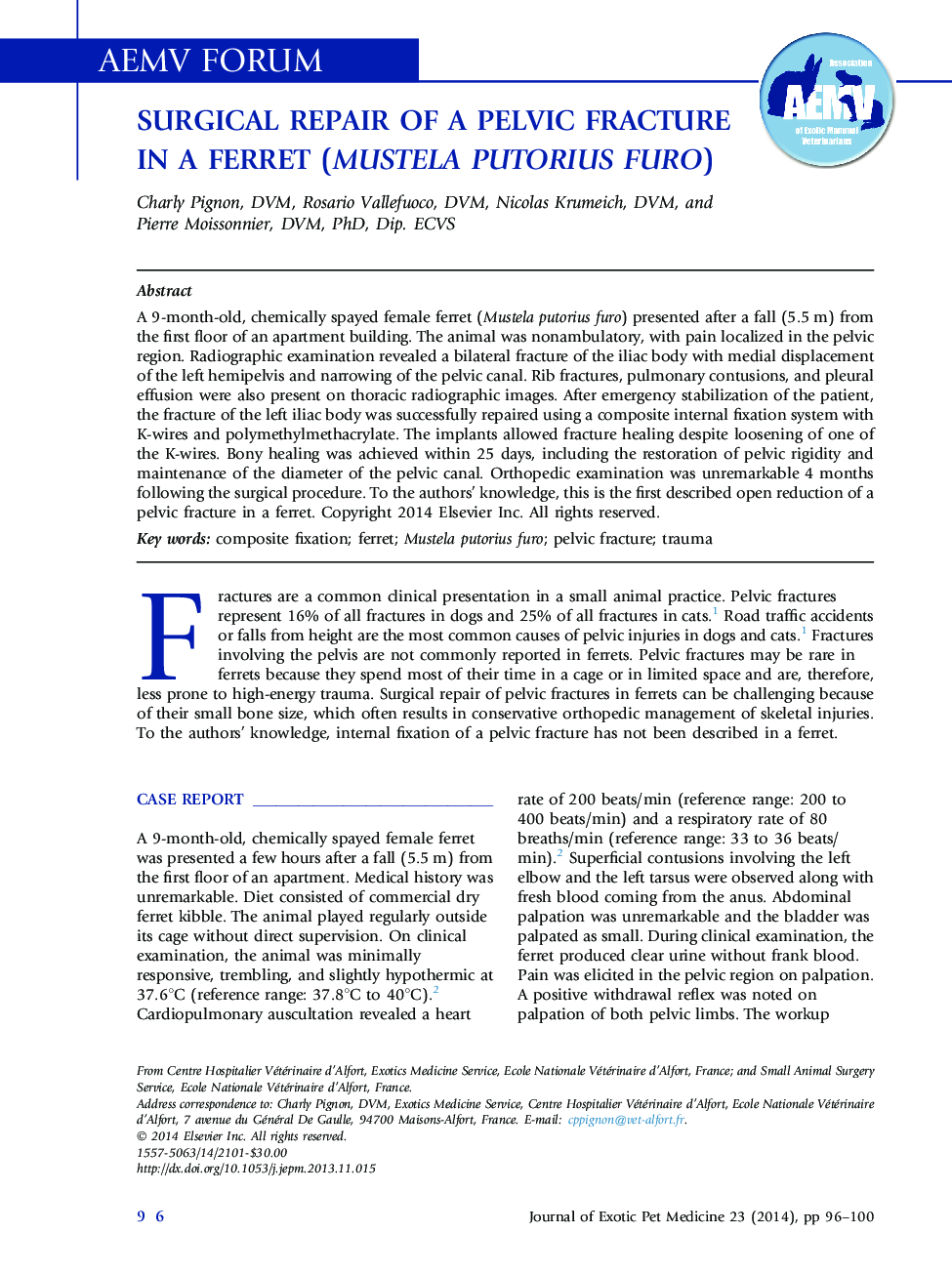 Surgical Repair of a Pelvic Fracture in a Ferret (Mustela putorius furo)