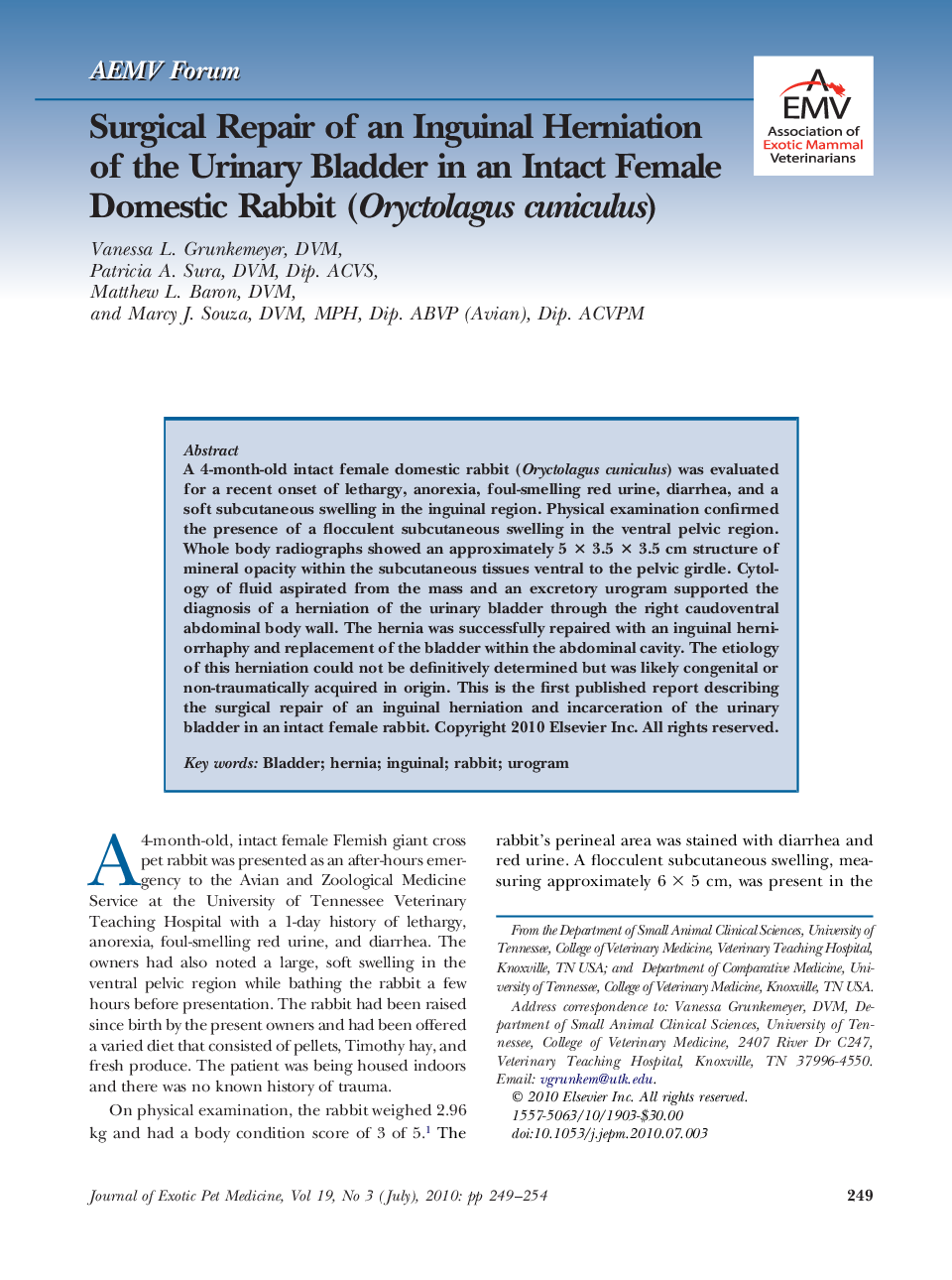 Surgical Repair of an Inguinal Herniation of the Urinary Bladder in an Intact Female Domestic Rabbit (Oryctolagus cuniculus)