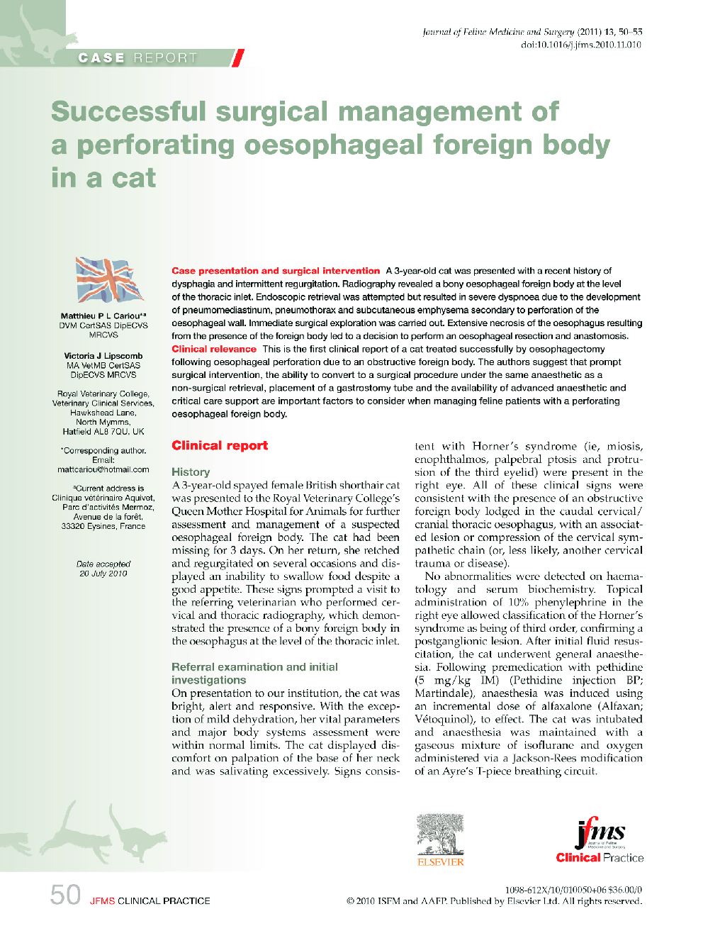Successful surgical management of a perforating oesophageal foreign body in a cat