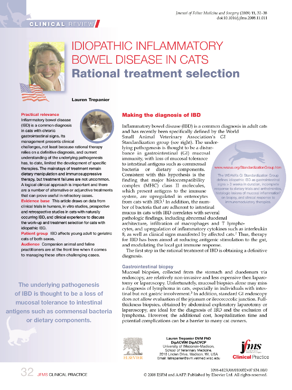 Idiopathic inflammatory bowel disease in cats: Rational treatment selection