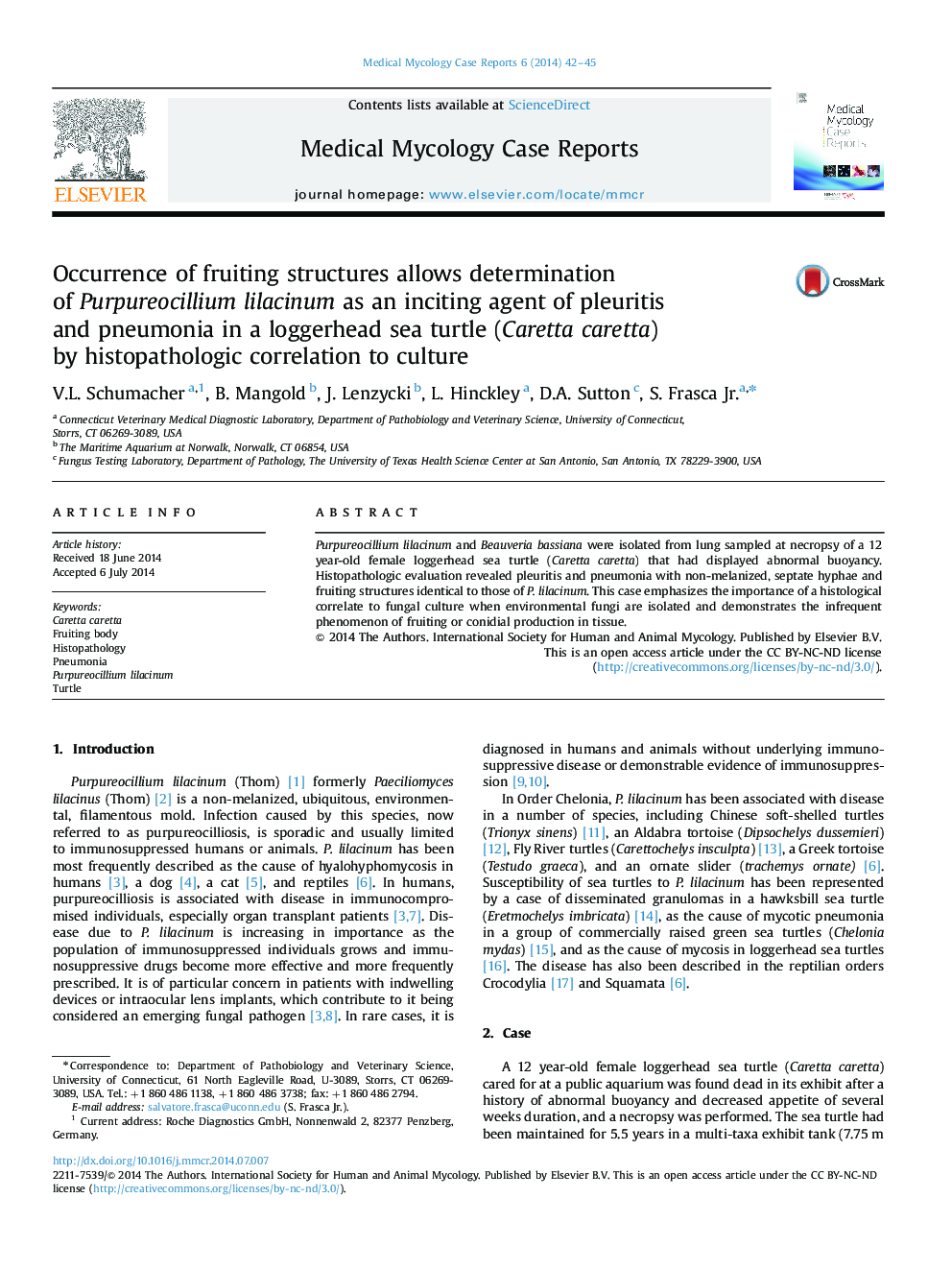 عکس صفحه اول مقاله: Occurrence of fruiting structures allows determination of Purpureocillium lilacinum as an inciting agent of pleuritis and pneumonia in a loggerhead sea turtle (Caretta caretta) by histopathologic correlation to culture Occurrence of fruiting structures allows determination of Purpureocillium lilacinum as an inciting agent of pleuritis and pneumonia in a loggerhead sea turtle (Caretta caretta) by histopathologic correlation to culture