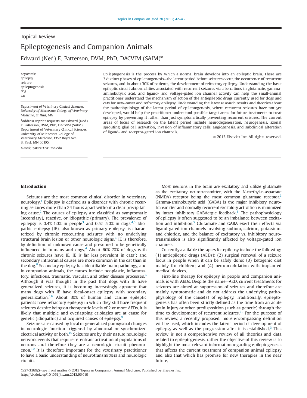 Epileptogenesis and Companion Animals