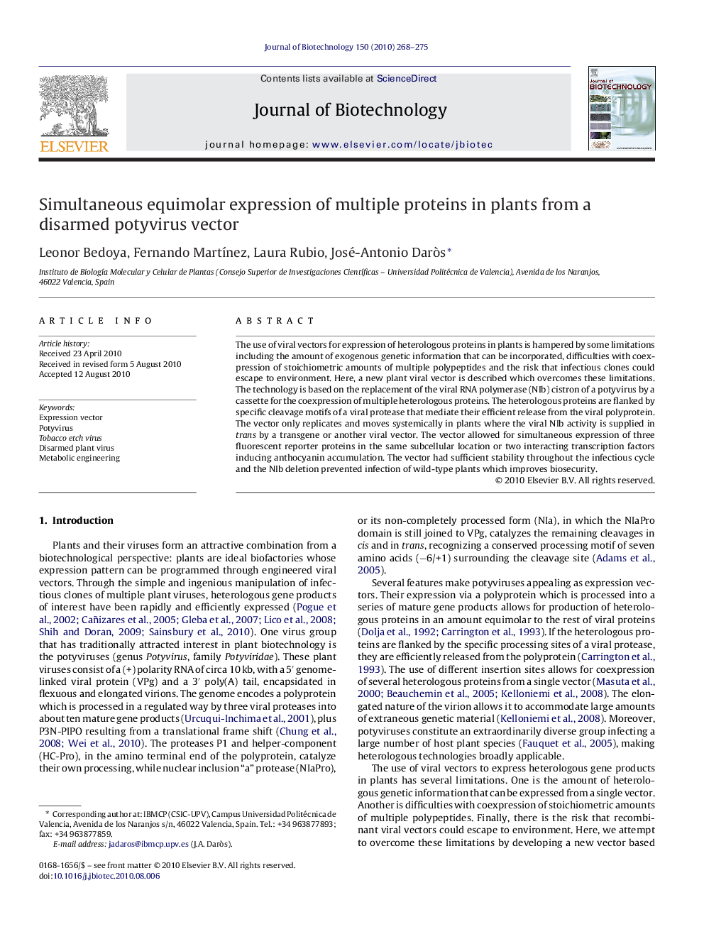 Simultaneous equimolar expression of multiple proteins in plants from a disarmed potyvirus vector