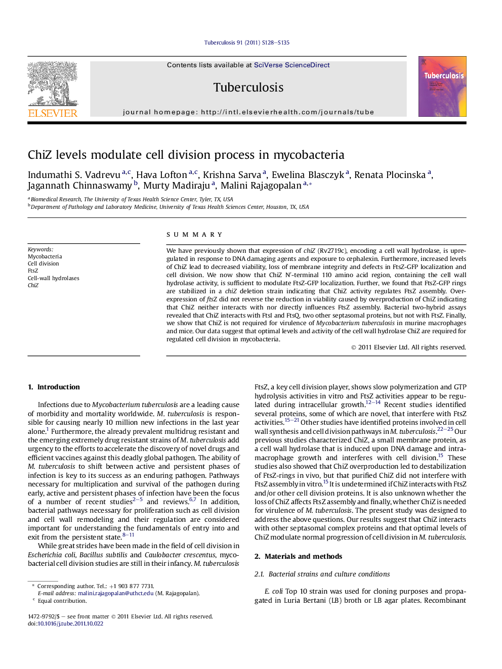 ChiZ levels modulate cell division process in mycobacteria