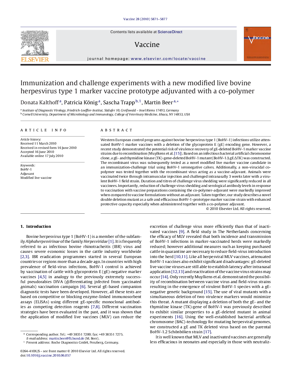 Immunization and challenge experiments with a new modified live bovine herpesvirus type 1 marker vaccine prototype adjuvanted with a co-polymer