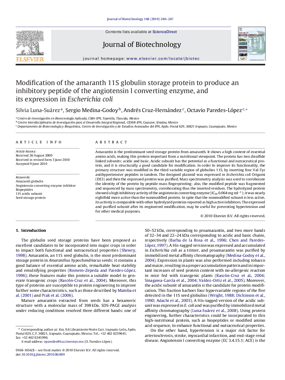 Modification of the amaranth 11S globulin storage protein to produce an inhibitory peptide of the angiotensin I converting enzyme, and its expression in Escherichia coli