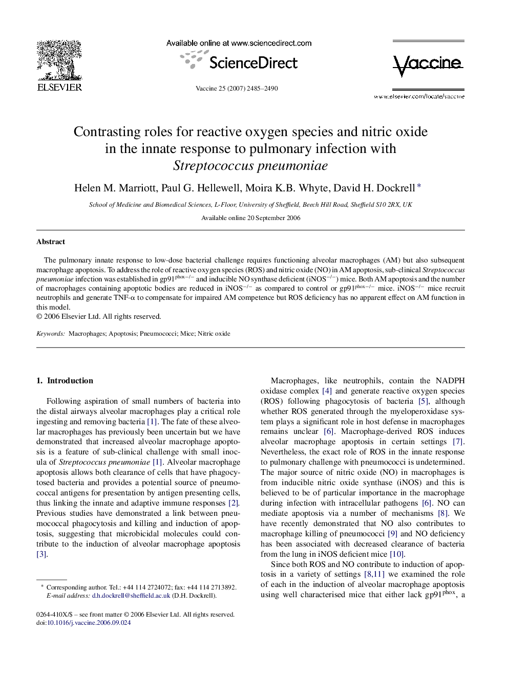 Contrasting roles for reactive oxygen species and nitric oxide in the innate response to pulmonary infection with Streptococcus pneumoniae