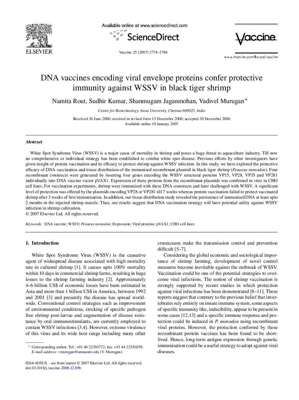 DNA vaccines encoding viral envelope proteins confer protective immunity against WSSV in black tiger shrimp