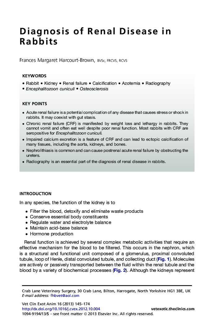 Diagnosis of Renal Disease in Rabbits