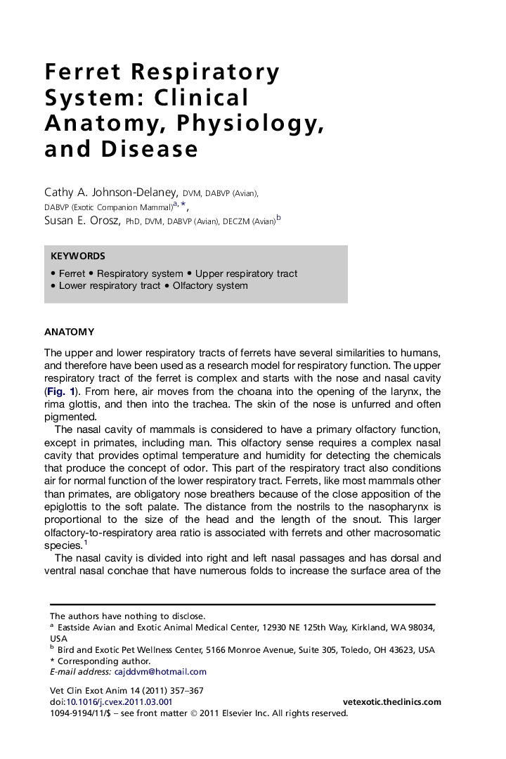 Ferret Respiratory System: Clinical Anatomy, Physiology, and Disease