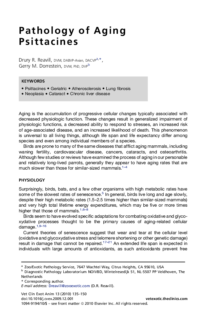 Pathology of Aging Psittacines