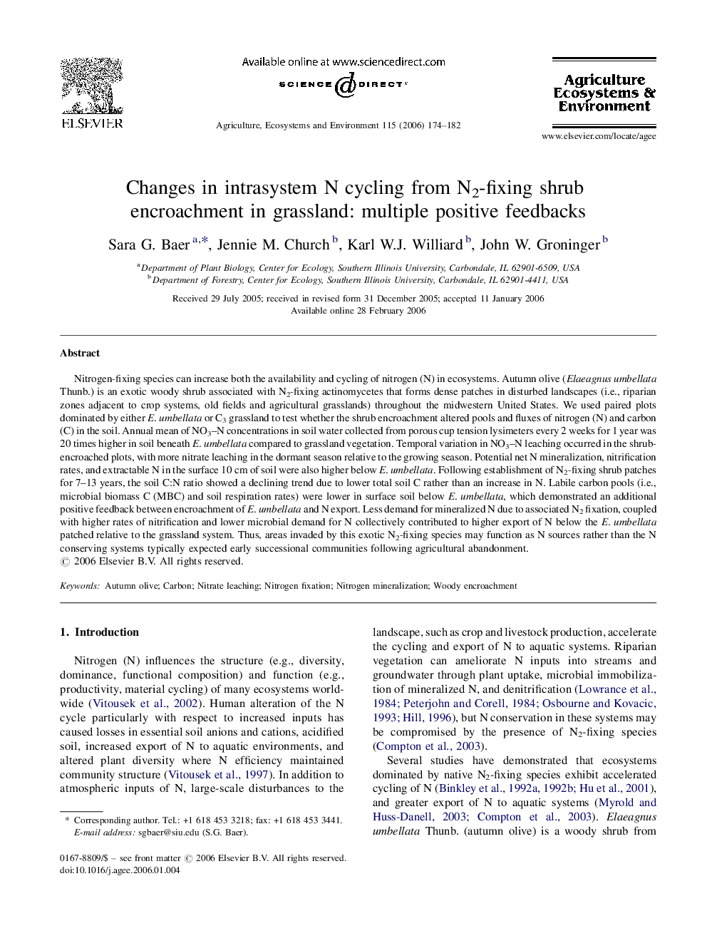 Changes in intrasystem N cycling from N2-fixing shrub encroachment in grassland: multiple positive feedbacks