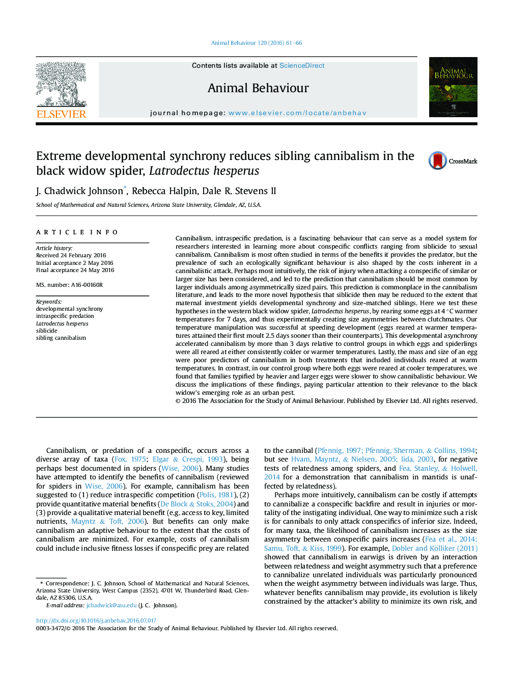 Extreme developmental synchrony reduces sibling cannibalism in the black widow spider, Latrodectus hesperus