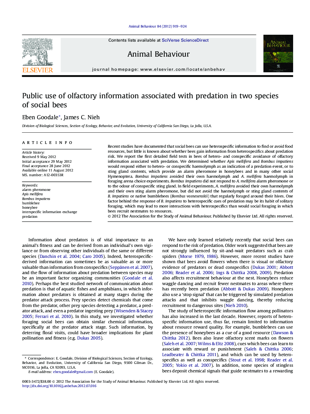 Public use of olfactory information associated with predation in two species of social bees