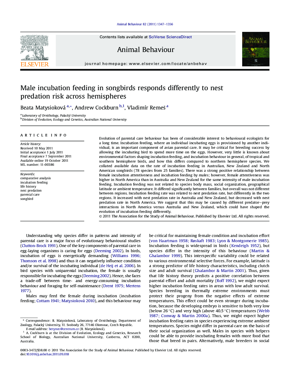 Male incubation feeding in songbirds responds differently to nest predation risk across hemispheres