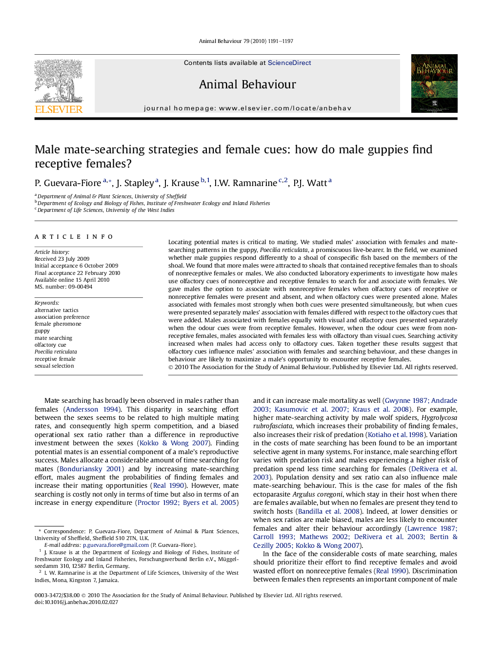 Male mate-searching strategies and female cues: how do male guppies find receptive females?