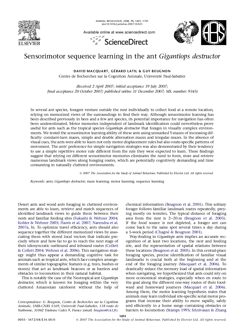 Sensorimotor sequence learning in the ant Gigantiops destructor