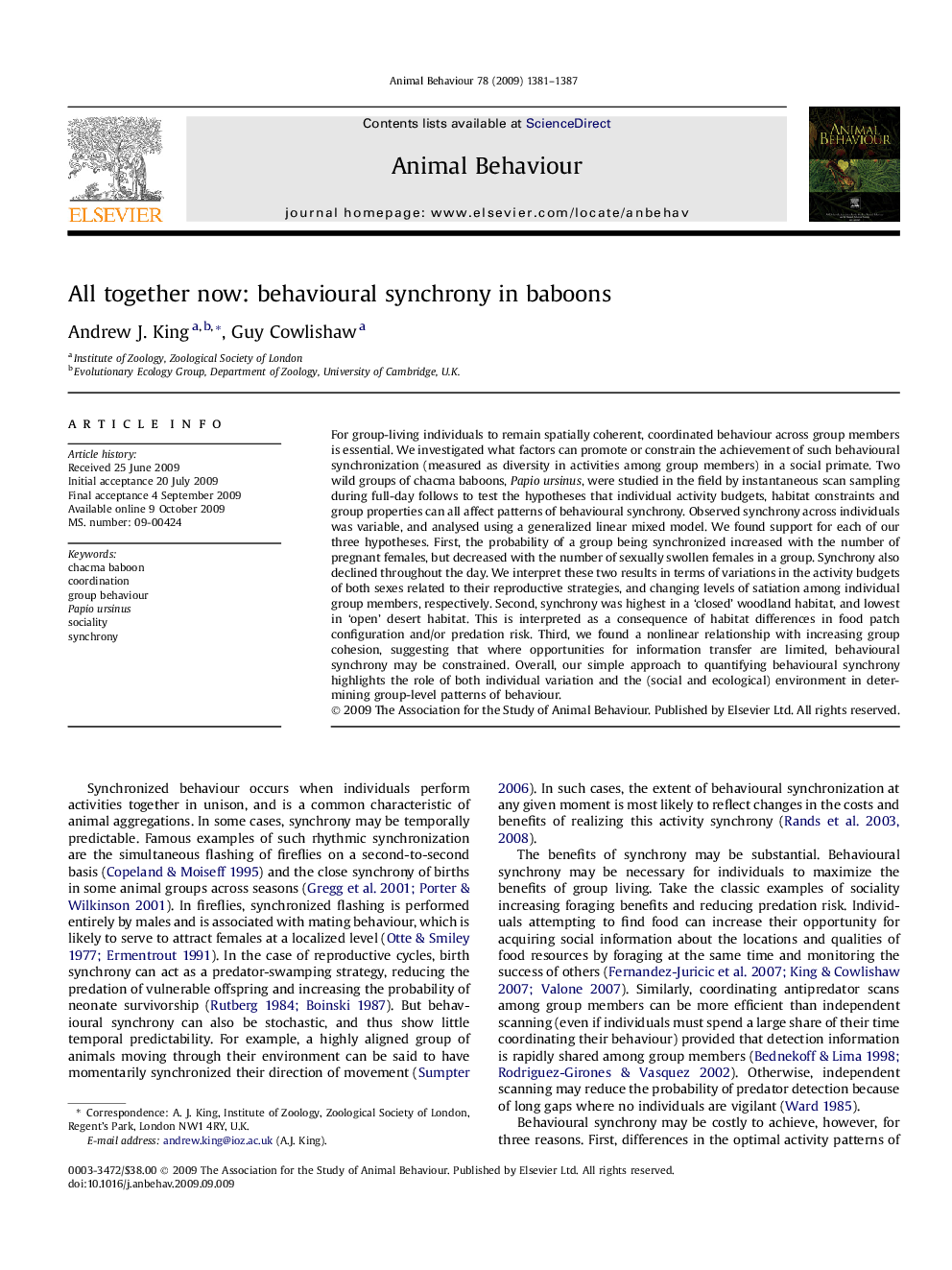 All together now: behavioural synchrony in baboons