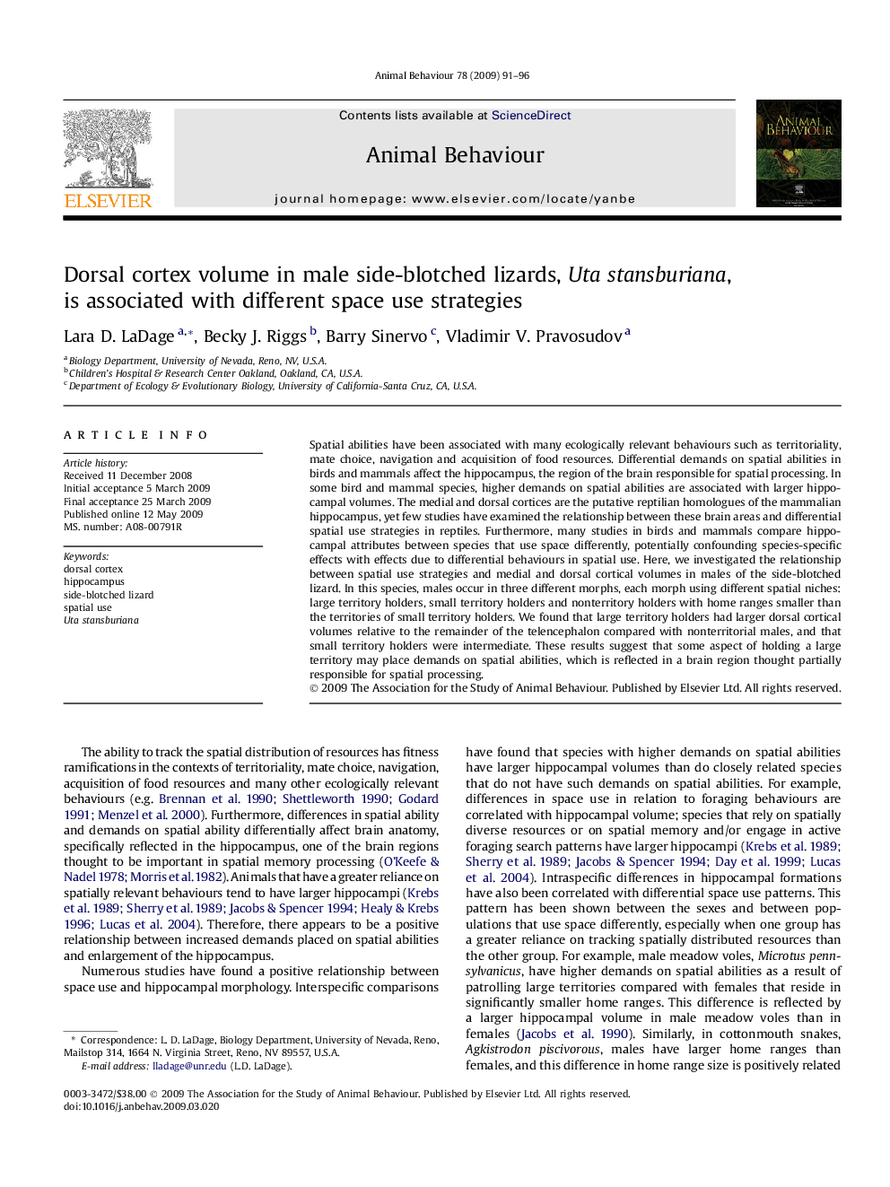 Dorsal cortex volume in male side-blotched lizards, Uta stansburiana, is associated with different space use strategies