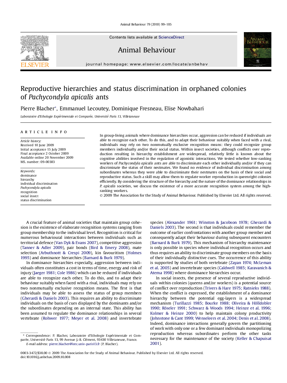 Reproductive hierarchies and status discrimination in orphaned colonies of Pachycondyla apicalis ants