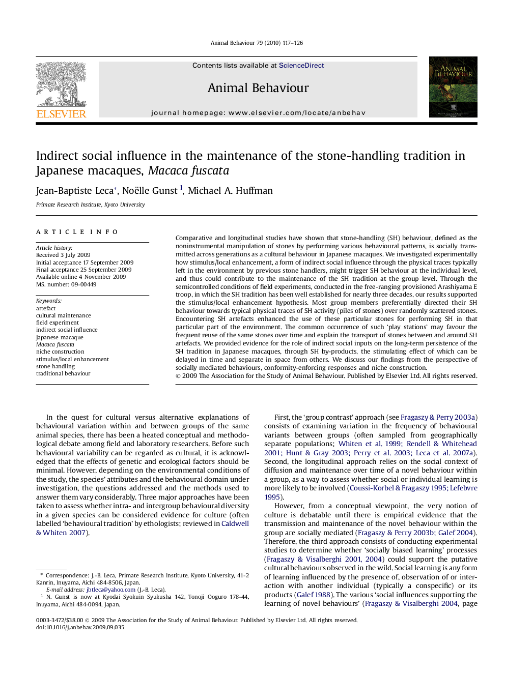 Indirect social influence in the maintenance of the stone-handling tradition in Japanese macaques, Macaca fuscata