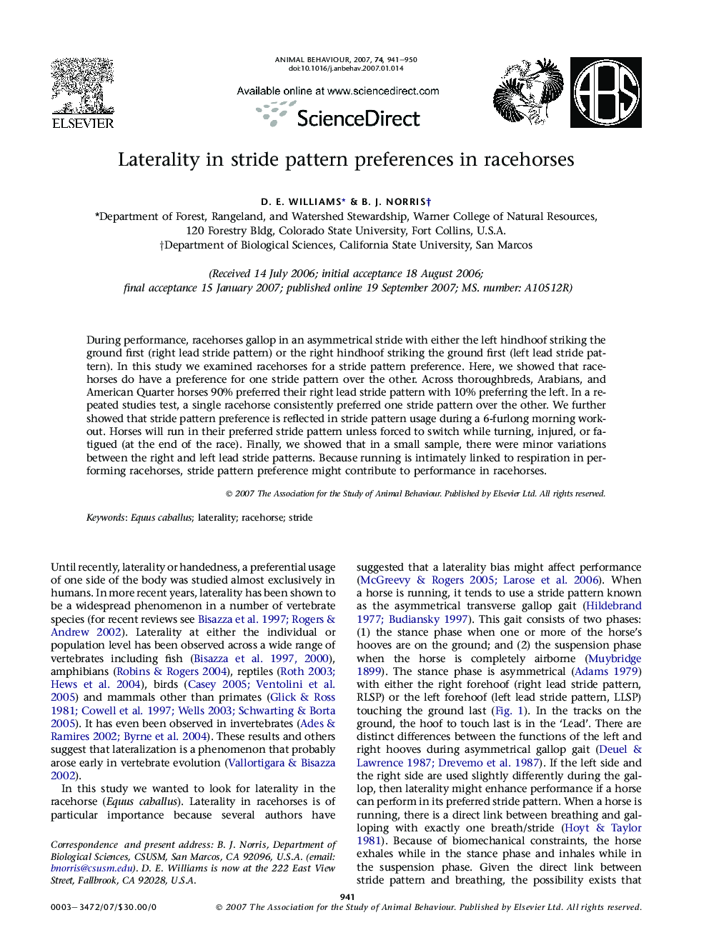 Laterality in stride pattern preferences in racehorses