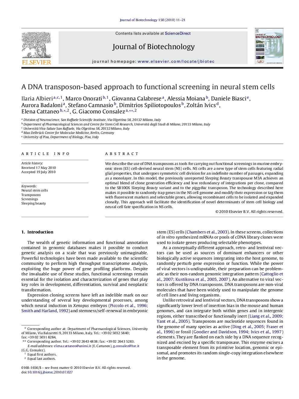 A DNA transposon-based approach to functional screening in neural stem cells