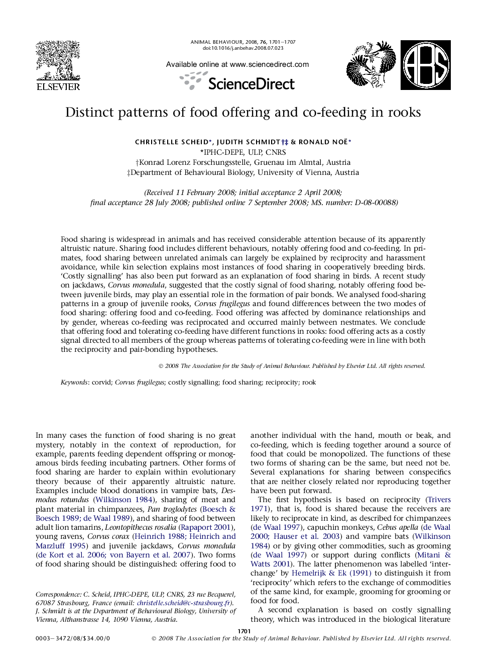 Distinct patterns of food offering and co-feeding in rooks