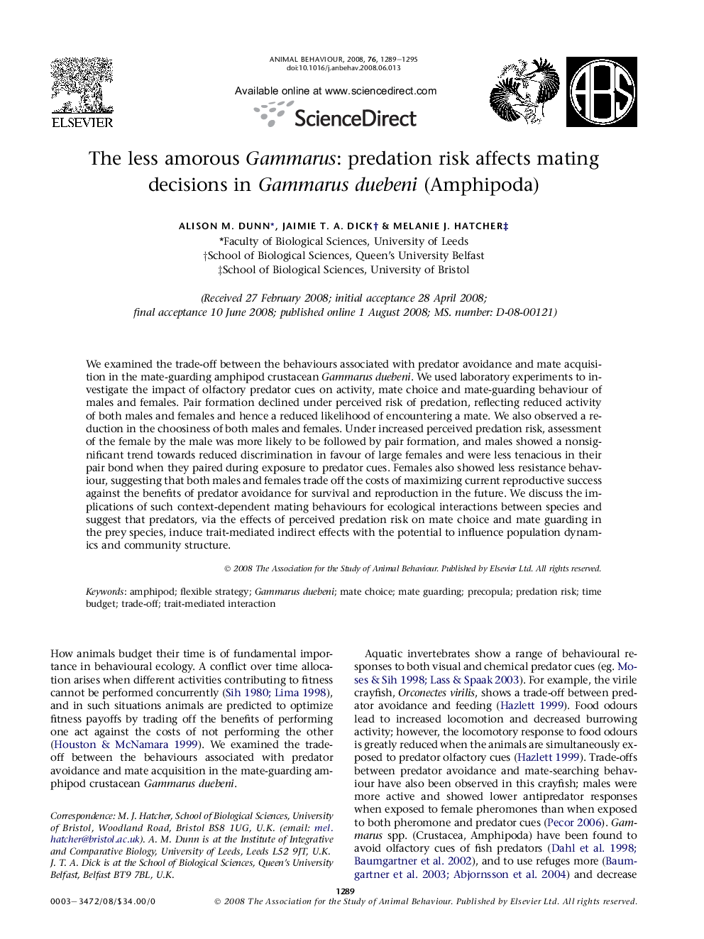 The less amorous Gammarus: predation risk affects mating decisions in Gammarus duebeni (Amphipoda)