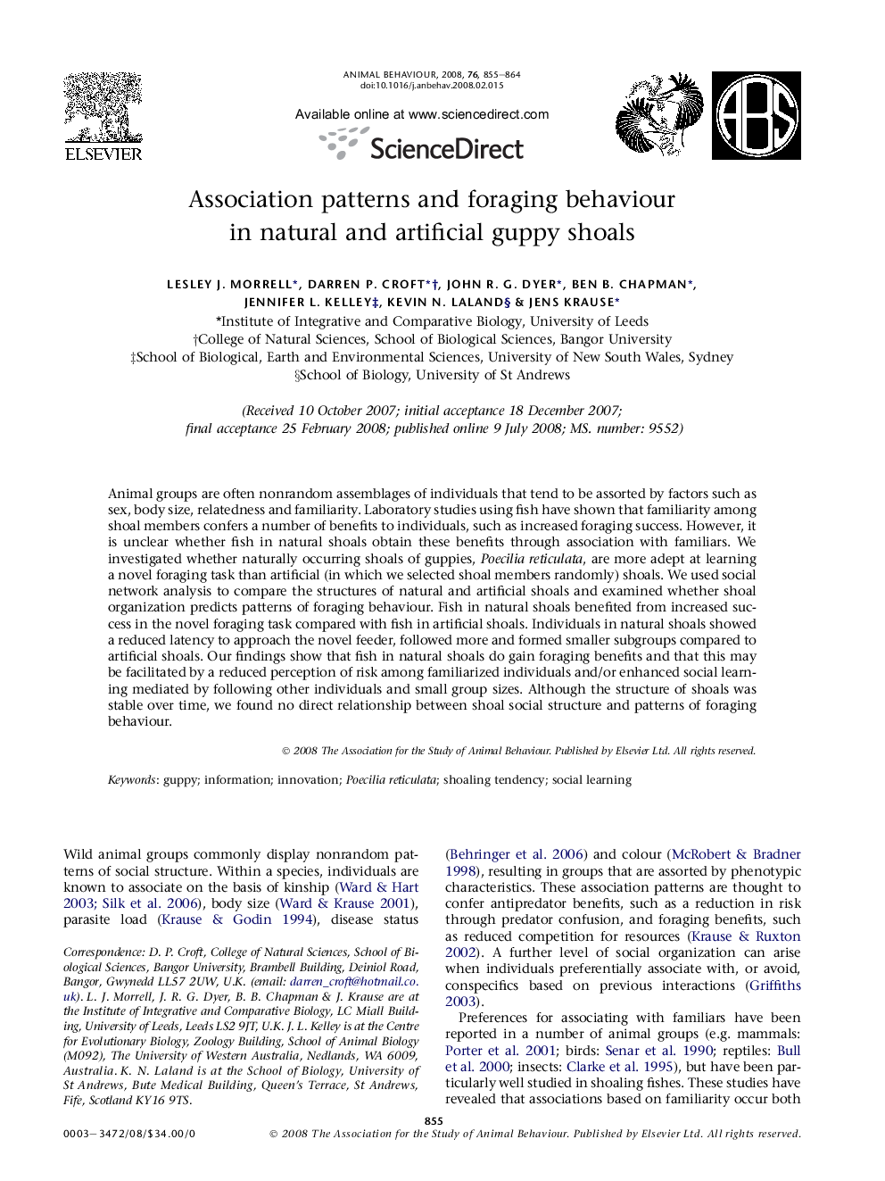 Association patterns and foraging behaviour in natural and artificial guppy shoals