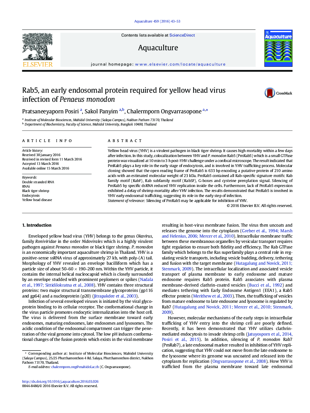 Rab5, an early endosomal protein required for yellow head virus infection of Penaeus monodon