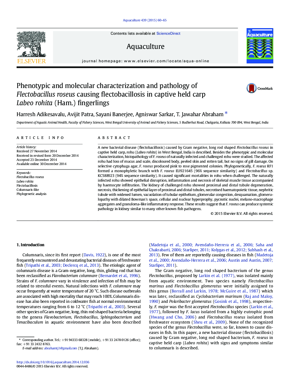 Phenotypic and molecular characterization and pathology of Flectobacillus roseus causing flectobacillosis in captive held carp Labeo rohita (Ham.) fingerlings