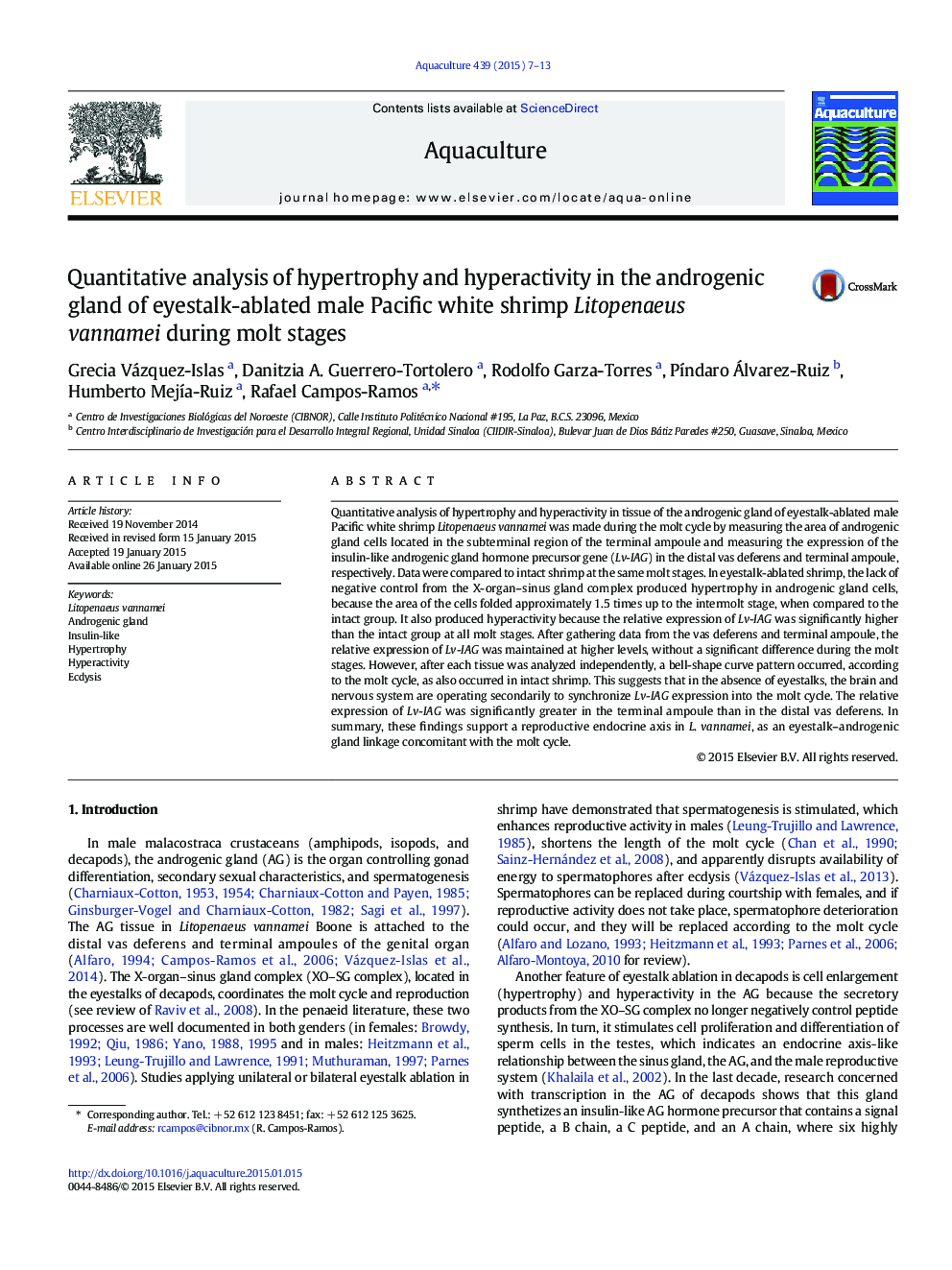 Quantitative analysis of hypertrophy and hyperactivity in the androgenic gland of eyestalk-ablated male Pacific white shrimp Litopenaeus vannamei during molt stages