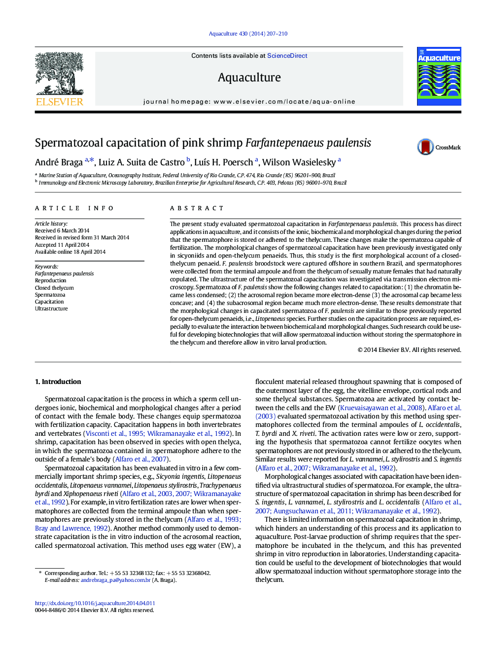 Spermatozoal capacitation of pink shrimp Farfantepenaeus paulensis