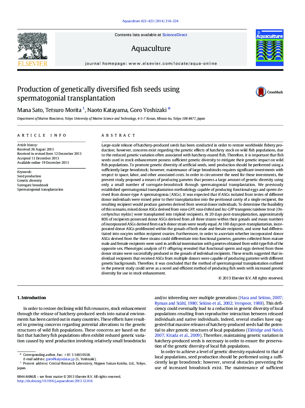 Production of genetically diversified fish seeds using spermatogonial transplantation