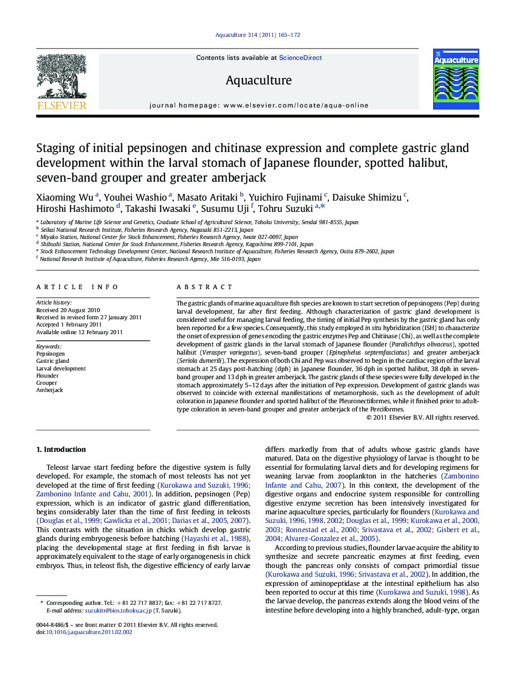 Staging of initial pepsinogen and chitinase expression and complete gastric gland development within the larval stomach of Japanese flounder, spotted halibut, seven-band grouper and greater amberjack