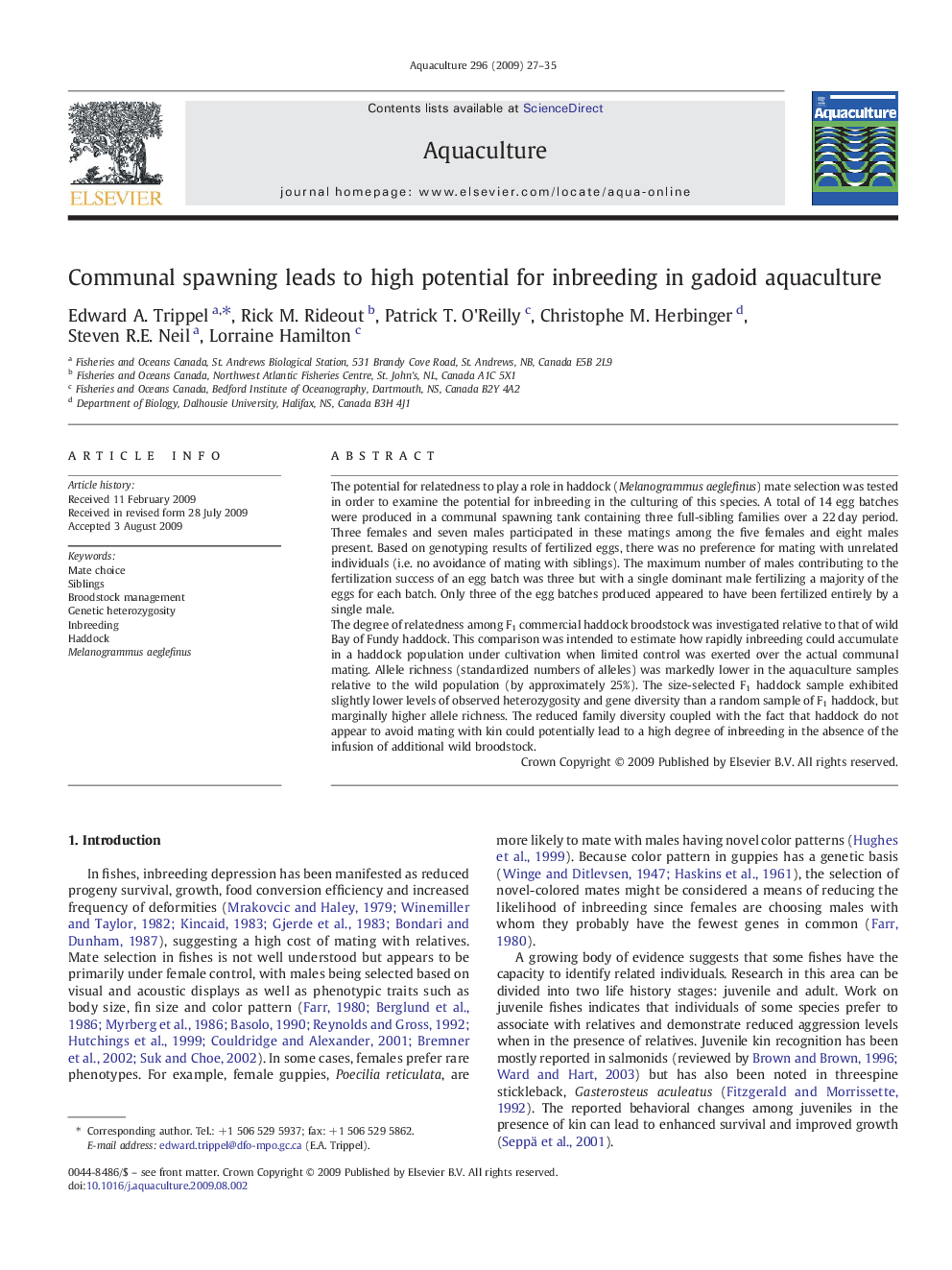 Communal spawning leads to high potential for inbreeding in gadoid aquaculture